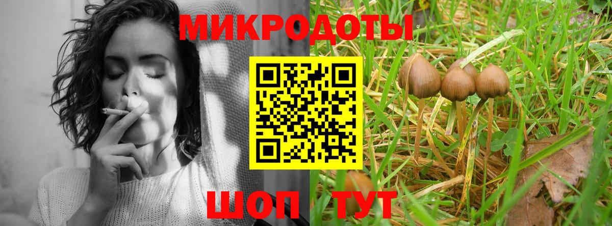 Псилоцибиновые грибы MAGIC MUSHROOMS Торжок